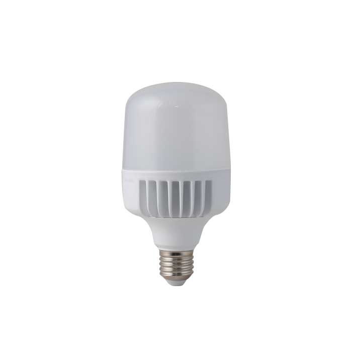 den led bup 20w rang dong ha noi one light 1