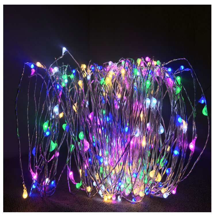 den led cho 2m 100 bong day dong 3