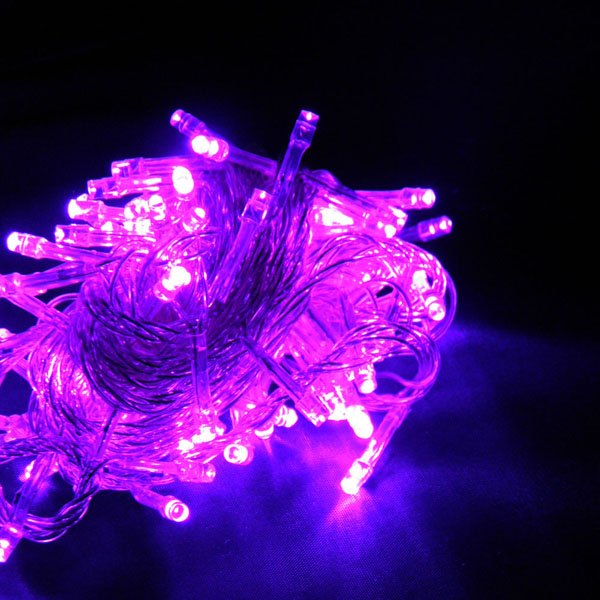 den led chop 5m mau hong ha noi 1