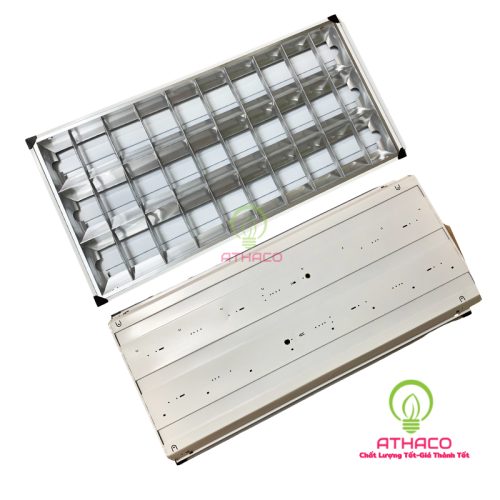 mang den led phan quang 600x1200 3 bong let8 4 ZxAaEeY0RqpBYFHecz3DFIt446EWDSK2VyoVY8Gr