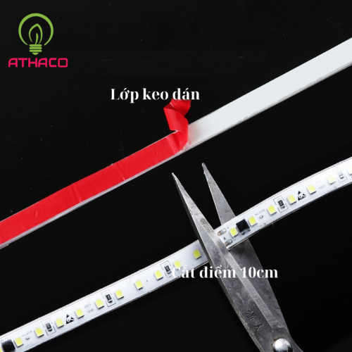 den led dan 220V athaco viet nam 3